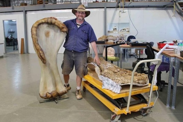 Дослідник тримає 3D-модель кістки біля оригінальних решток динозавра